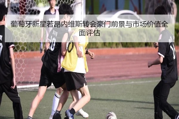 葡萄牙新星若昂内维斯转会豪门前景与市场价值全面评估